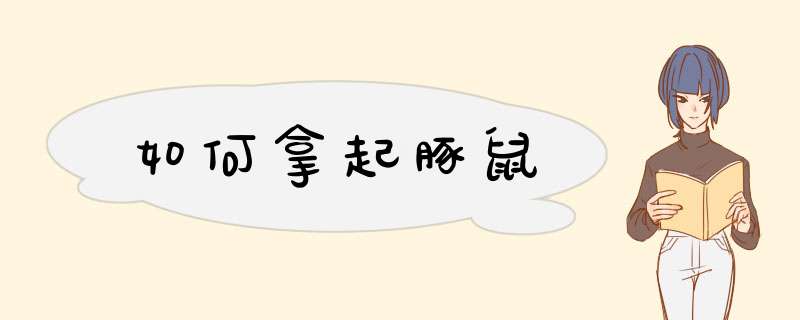 如何拿起豚鼠
