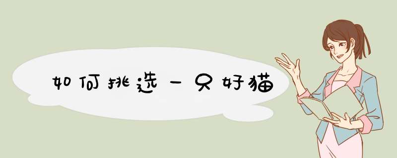 如何挑选一只好猫