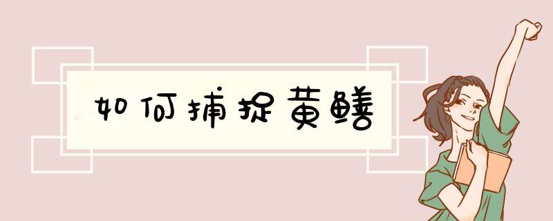 如何捕捉黄鳝