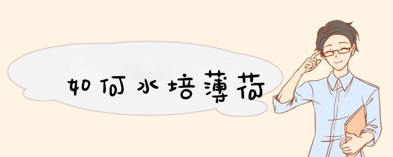 如何水培薄荷