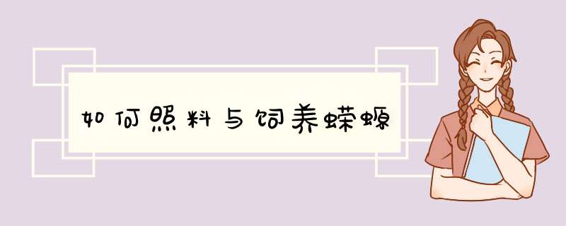 如何照料与饲养蝾螈