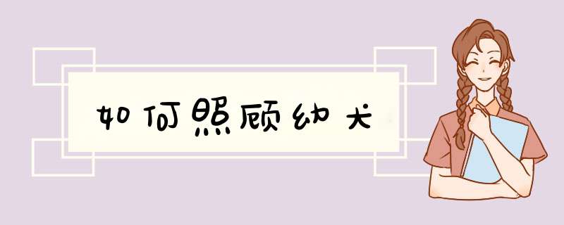 如何照顾幼犬