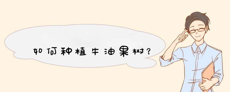 如何种植牛油果树？