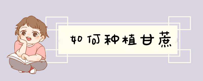 如何种植甘蔗