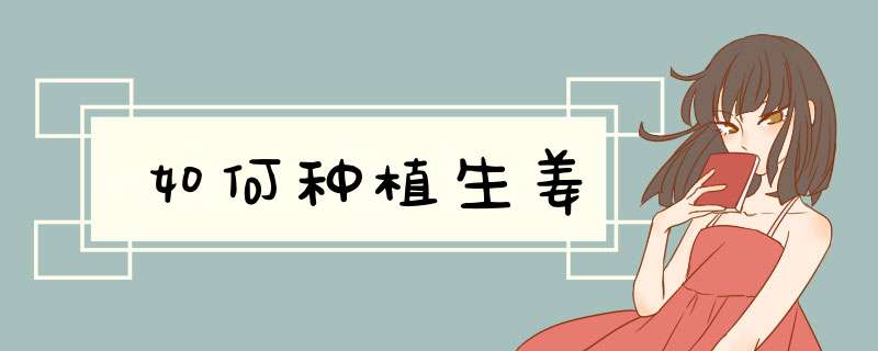 如何种植生姜