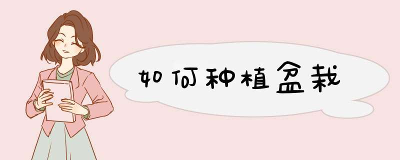 如何种植盆栽