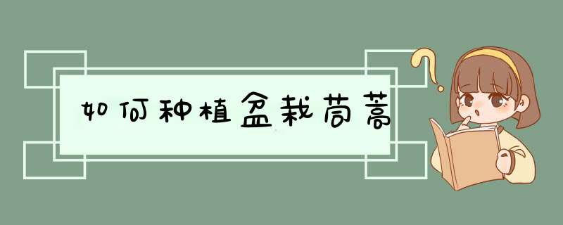 如何种植盆栽茼蒿