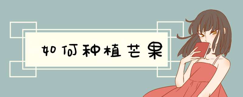 如何种植芒果