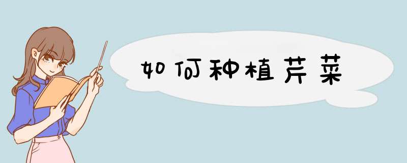 如何种植芹菜
