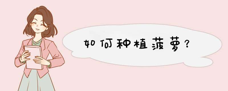 如何种植菠萝？