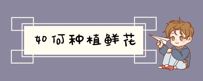 如何种植鲜花