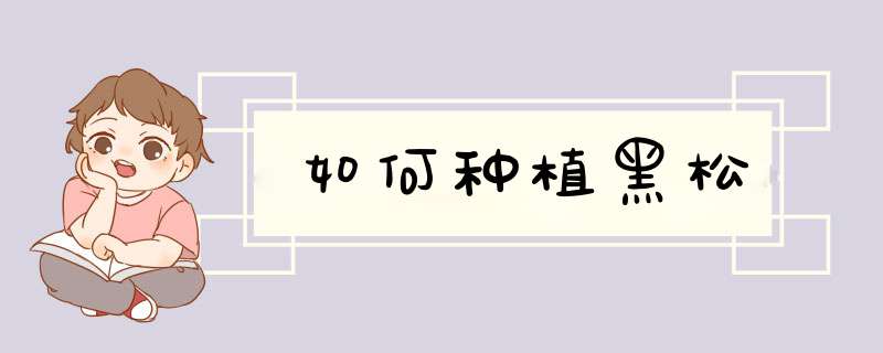 如何种植黑松