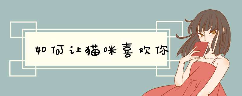 如何让猫咪喜欢你