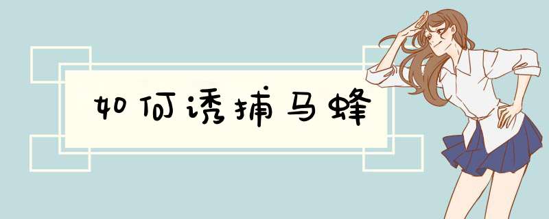 如何诱捕马蜂