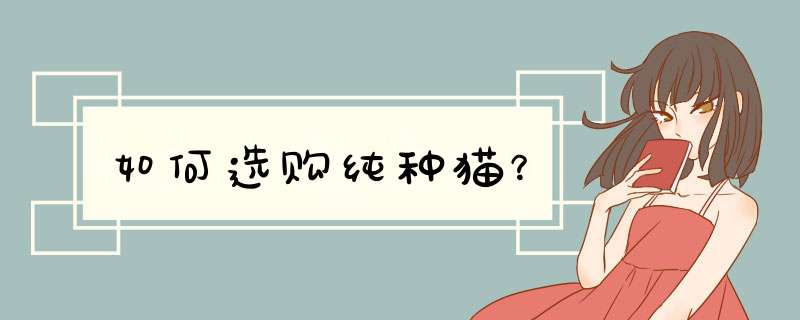 如何选购纯种猫？