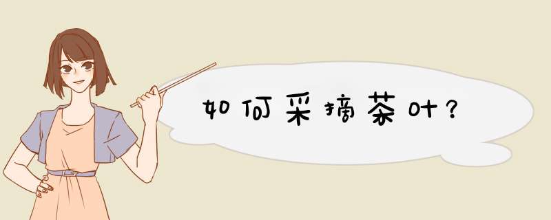 如何采摘茶叶？