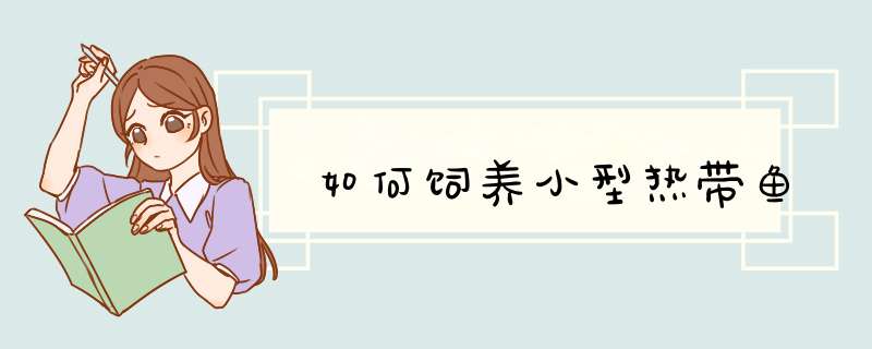 如何饲养小型热带鱼