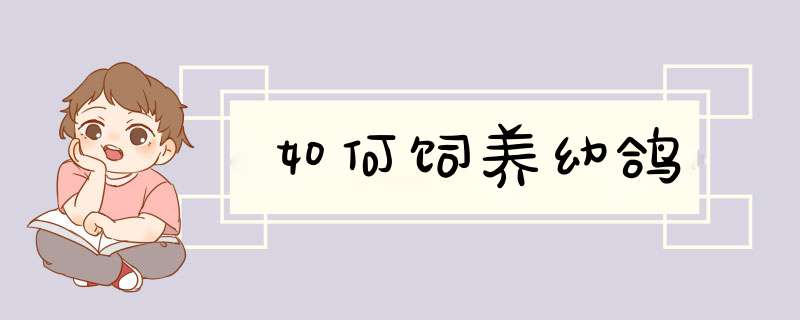 如何饲养幼鸽