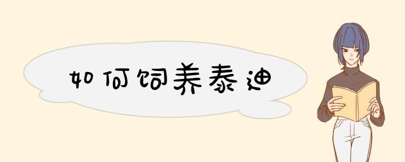 如何饲养泰迪