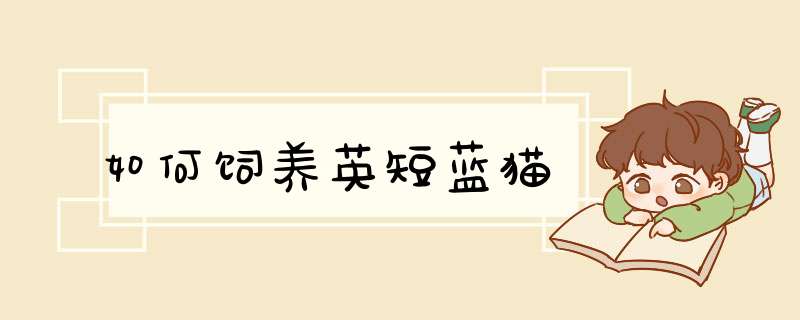 如何饲养英短蓝猫