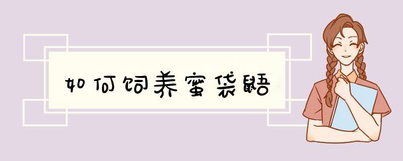 如何饲养蜜袋鼯