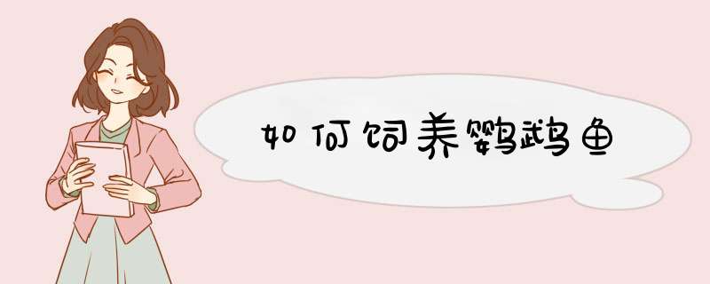 如何饲养鹦鹉鱼
