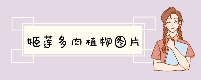 姬莲多肉植物图片