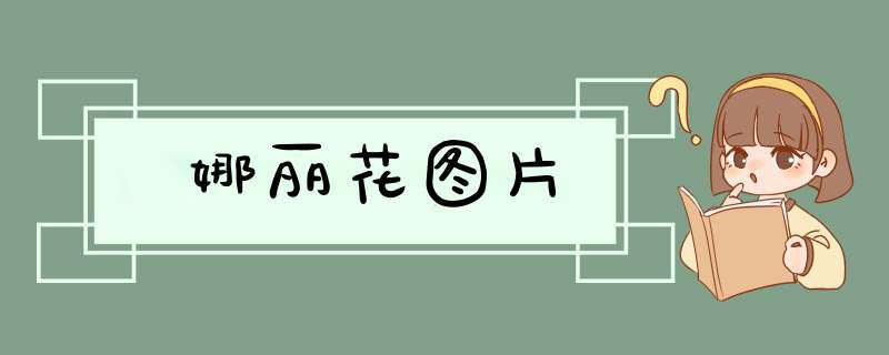 娜丽花图片