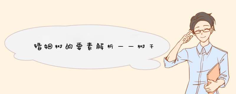 婚姻树的要素解析——树干