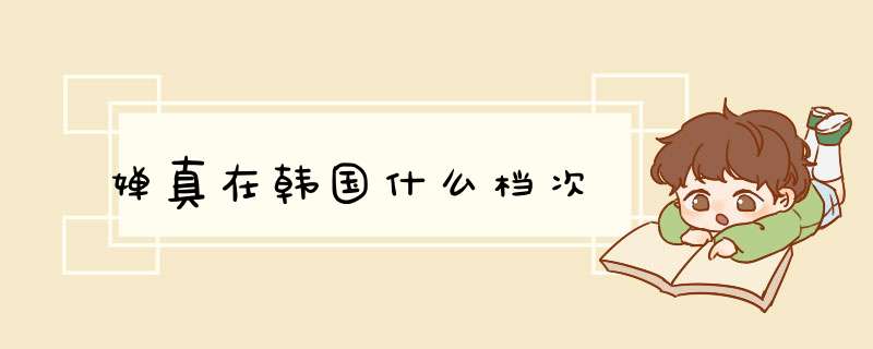 婵真在韩国什么档次