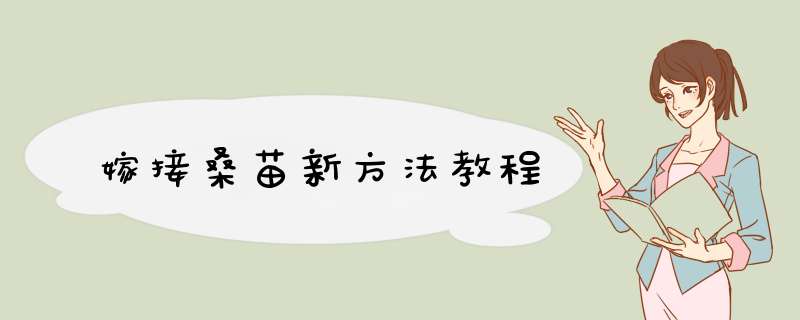 嫁接桑苗新方法教程