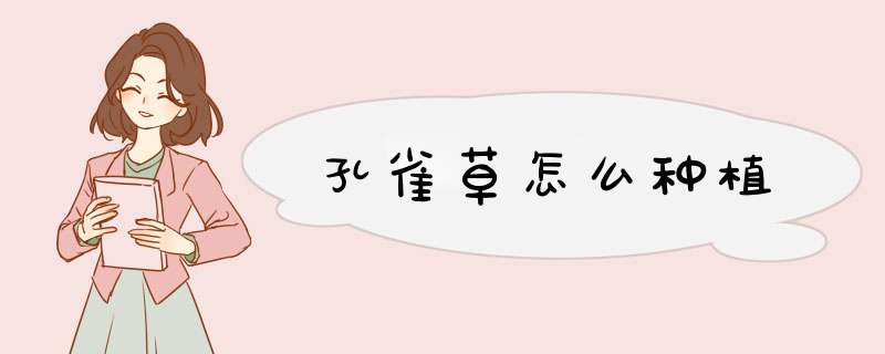 孔雀草怎么种植
