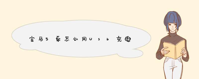 宝马5系怎么用Usb充电