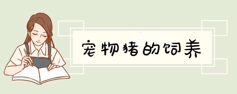 宠物猪的饲养