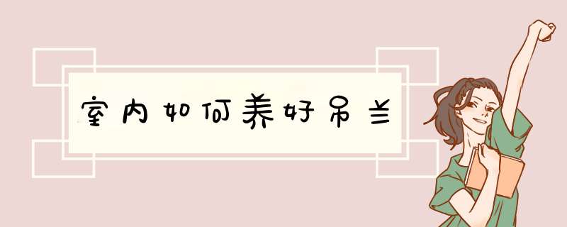 室内如何养好吊兰