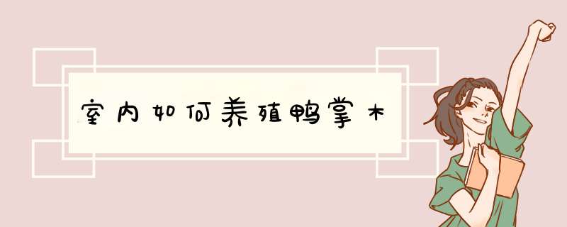 室内如何养殖鸭掌木