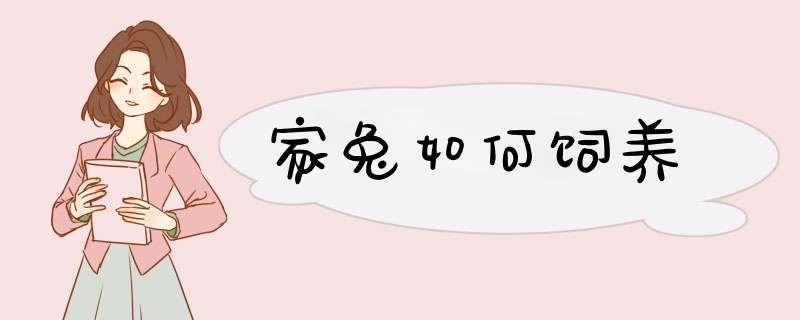 家兔如何饲养