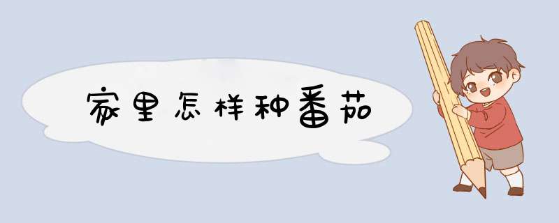 家里怎样种番茄