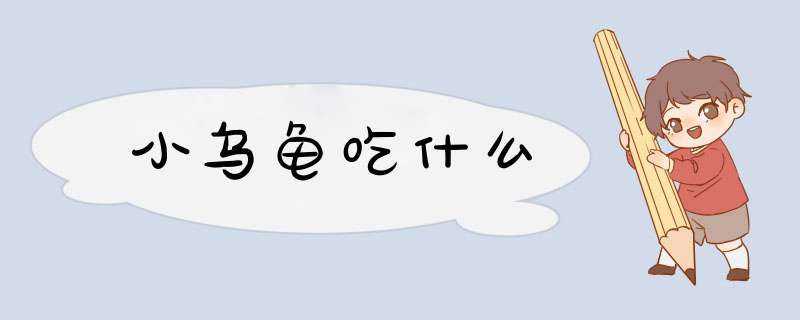 小乌龟吃什么