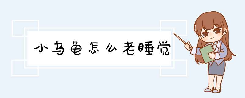 小乌龟怎么老睡觉