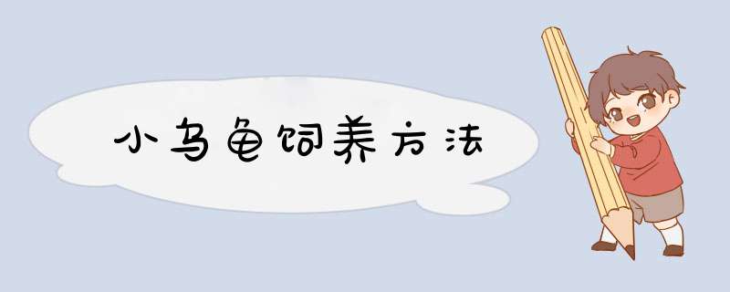小乌龟饲养方法