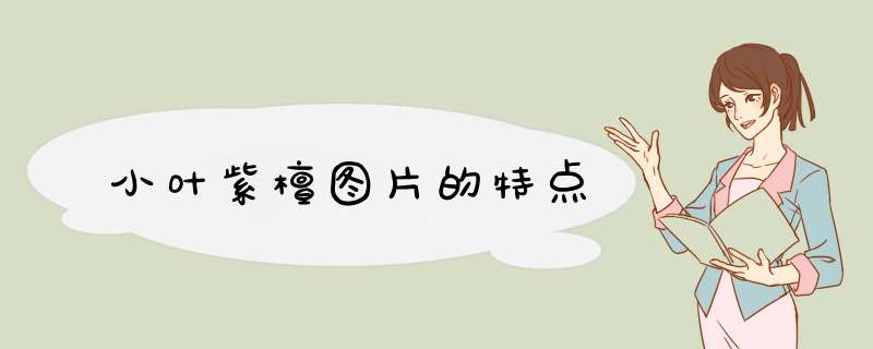 小叶紫檀图片的特点