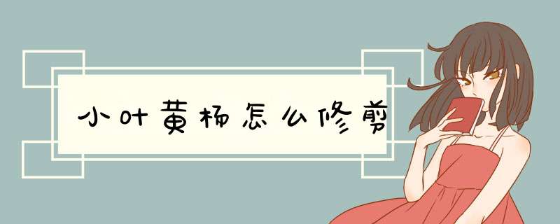 小叶黄杨怎么修剪