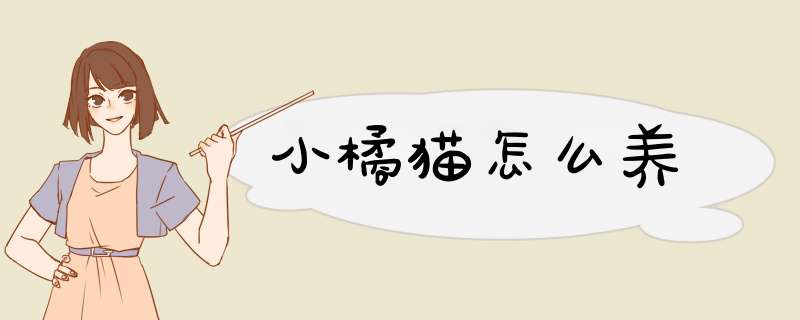 小橘猫怎么养