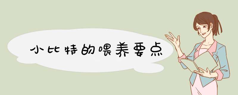 小比特的喂养要点