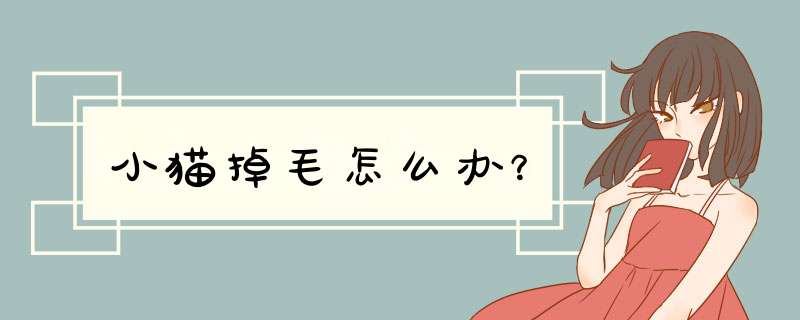 小猫掉毛怎么办？