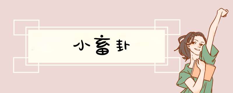 小畜卦