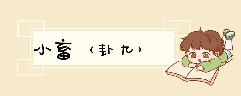 小畜（卦九）
