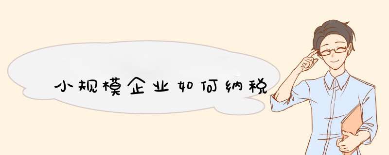 小规模企业如何纳税