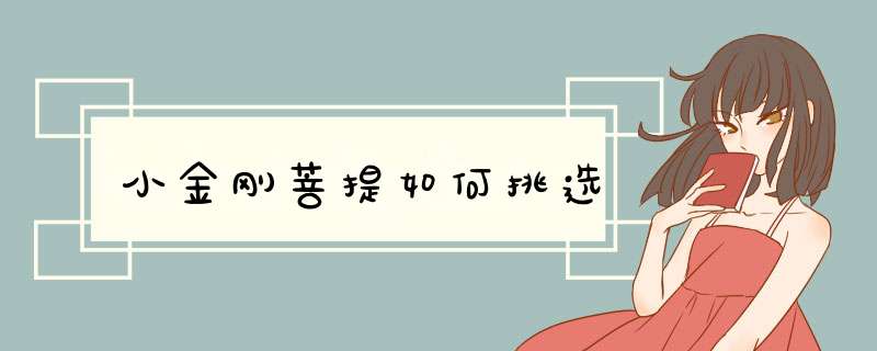 小金刚菩提如何挑选